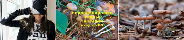 метамфетамин Протвино