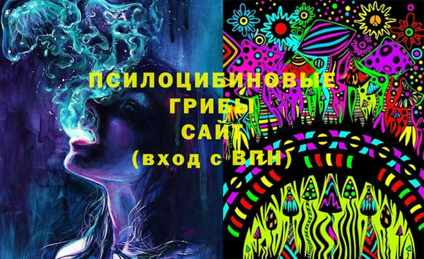 прущие крисы Рославль