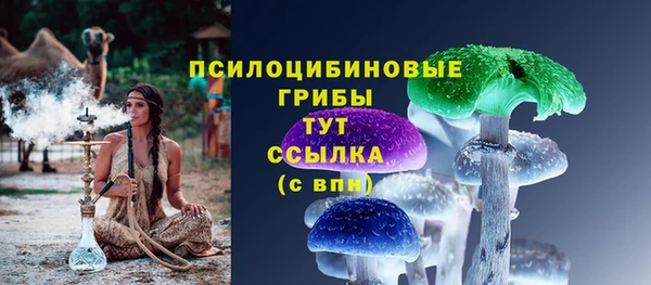 прущие крисы Рославль