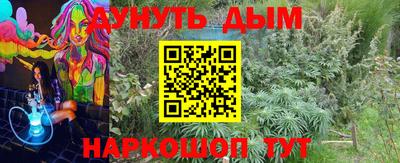 ПСИЛОЦИБИНОВЫЕ ГРИБЫ Аргун