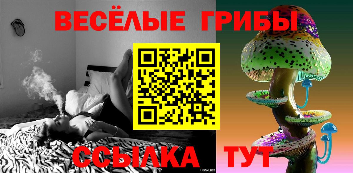 Аксай  Галлюциногенные грибы Psilocybine cubensis  Вход с VPN 