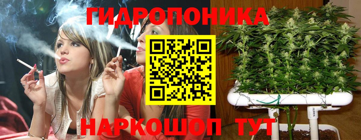 Бошки Шишки Amnesia Аксай