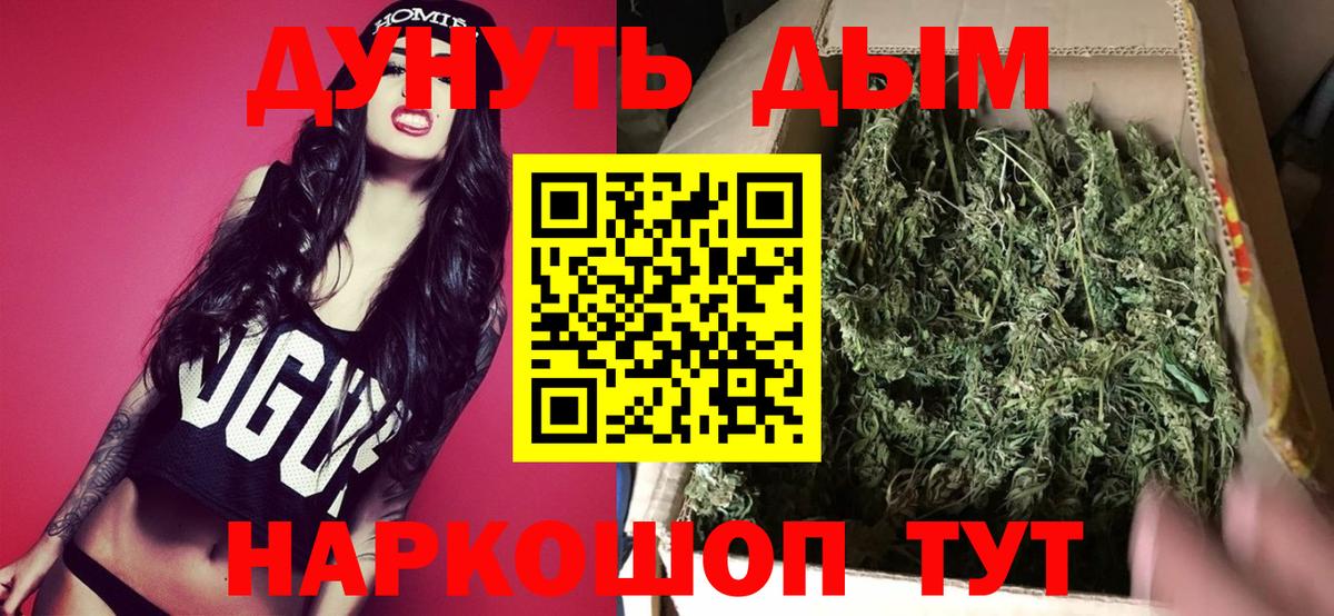 Канабис MAZAR  Марихуана планчик  Аксай  Марихуана гибрид  Бошки марихуана индика 